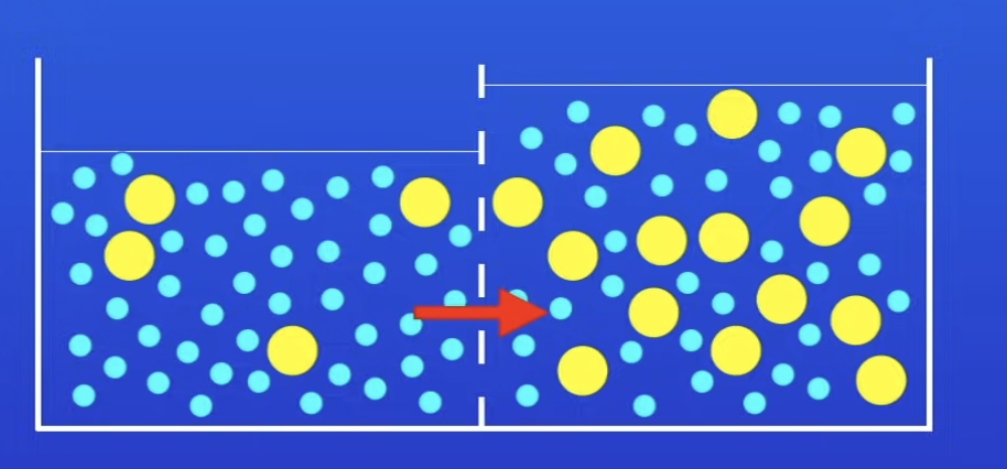 <p>Diffusion of water from a dilute solution to a concentrated solution thru a partially permeable membrane</p>
