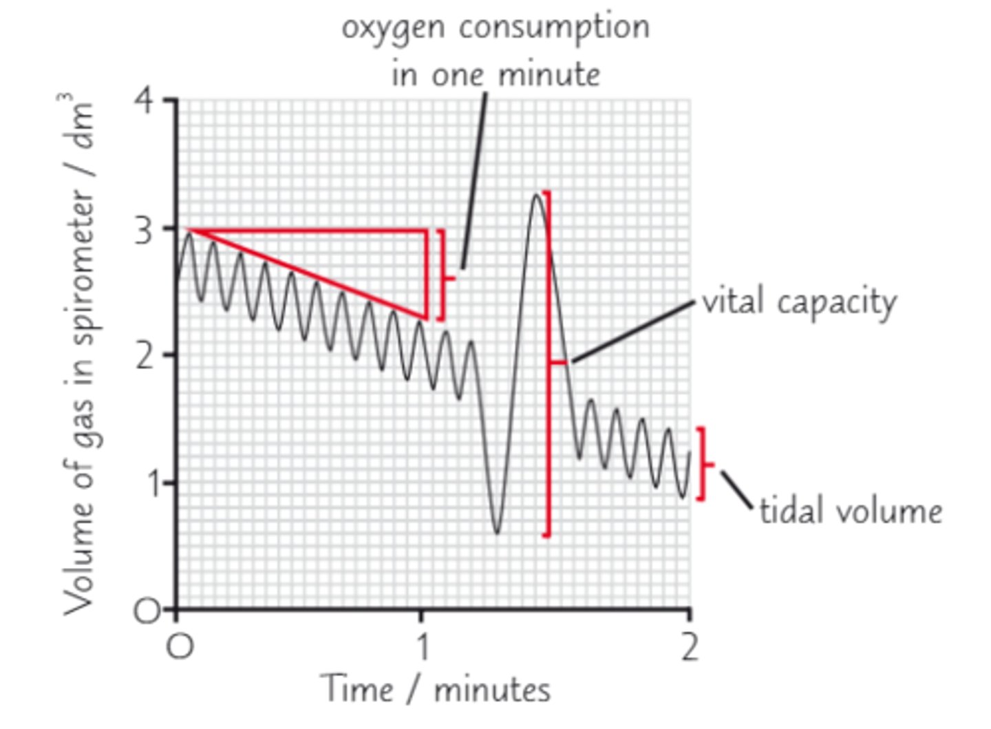 <p>Measure the volume difference for an individual breath or calculate the maximum - minimum for an individual breath, repeat for several breaths and determine the mean.</p>