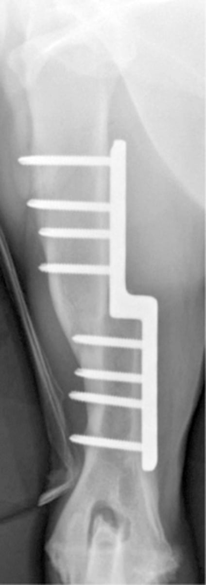 <p>what is shown here</p>