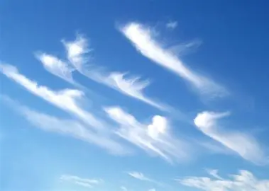 <p>Cirrus Cloud</p>