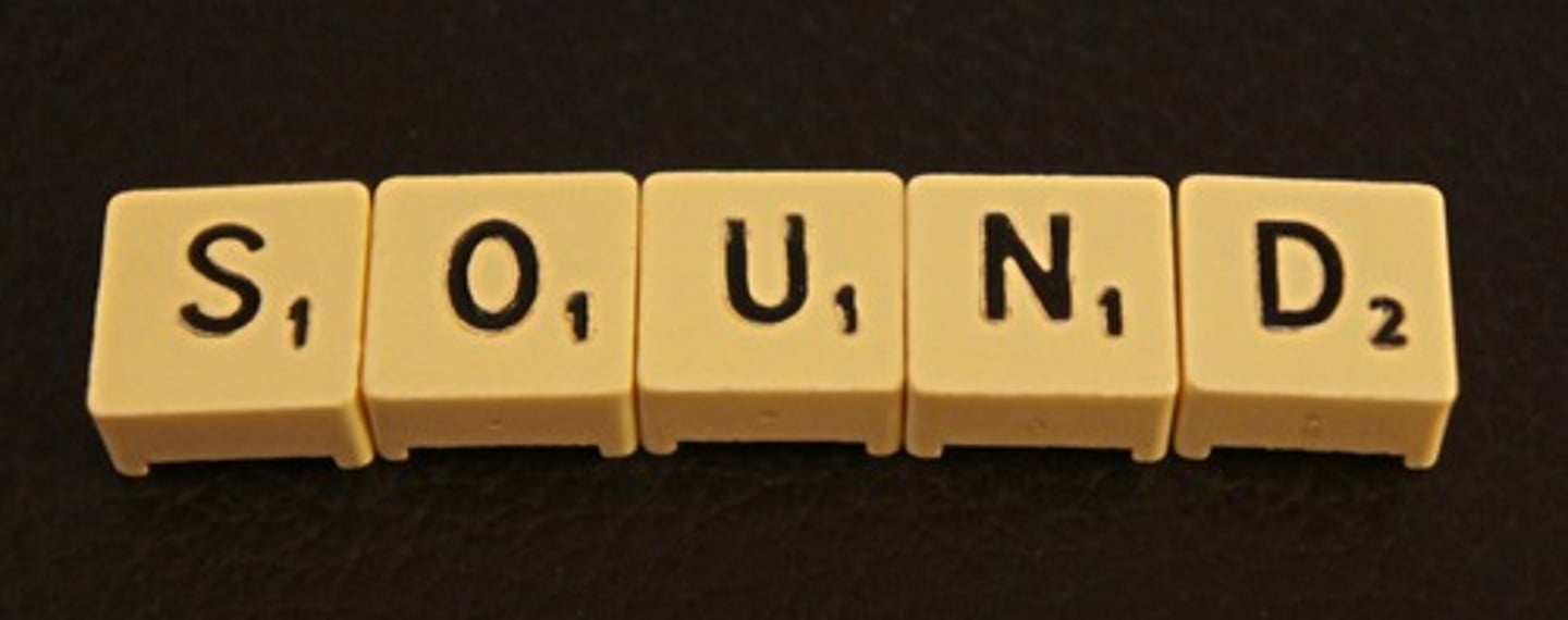 <p>(definition)</p><p>A single consonant letter can be represented by a phoneme.</p><p>(example)</p><p>b, d, f, g, h, j, k, l, m, n, p, r, s, t, v, w, y, z</p>
