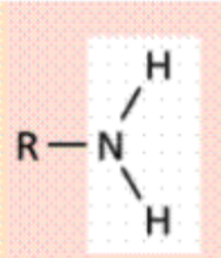 <p>Functional Group?</p>