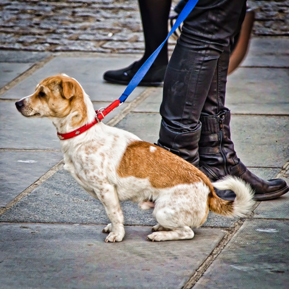 <p>easily handled or managed</p>