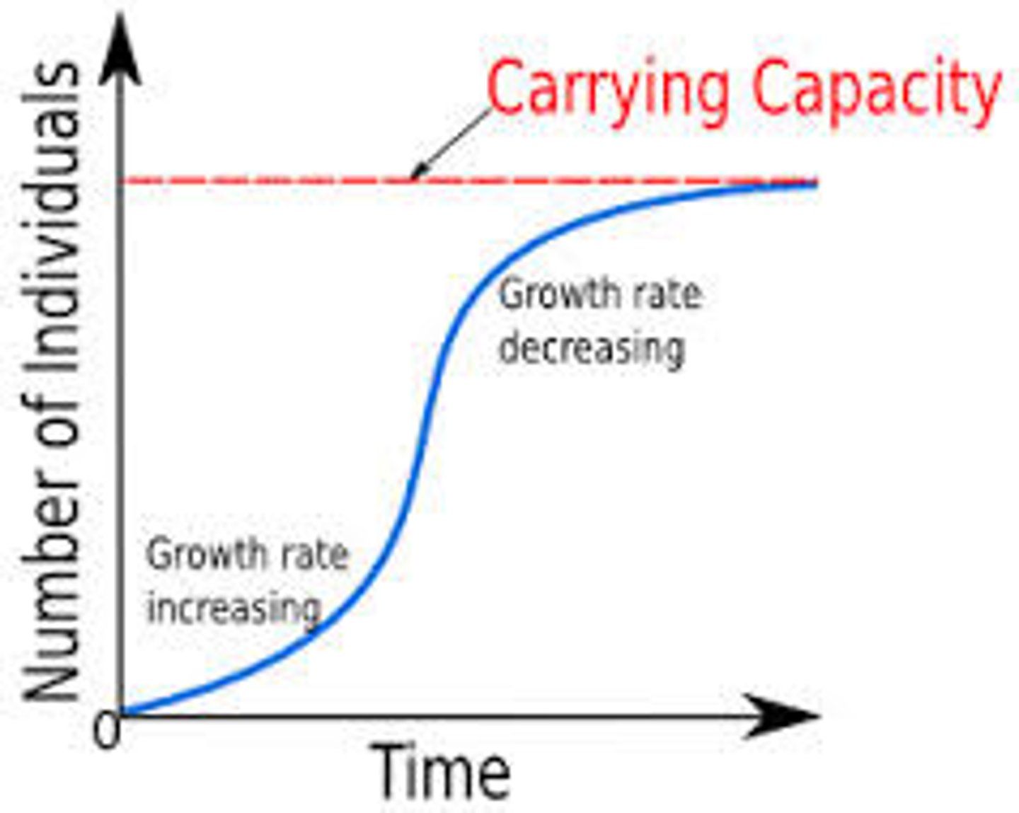 <p>A logistic growth curve</p>