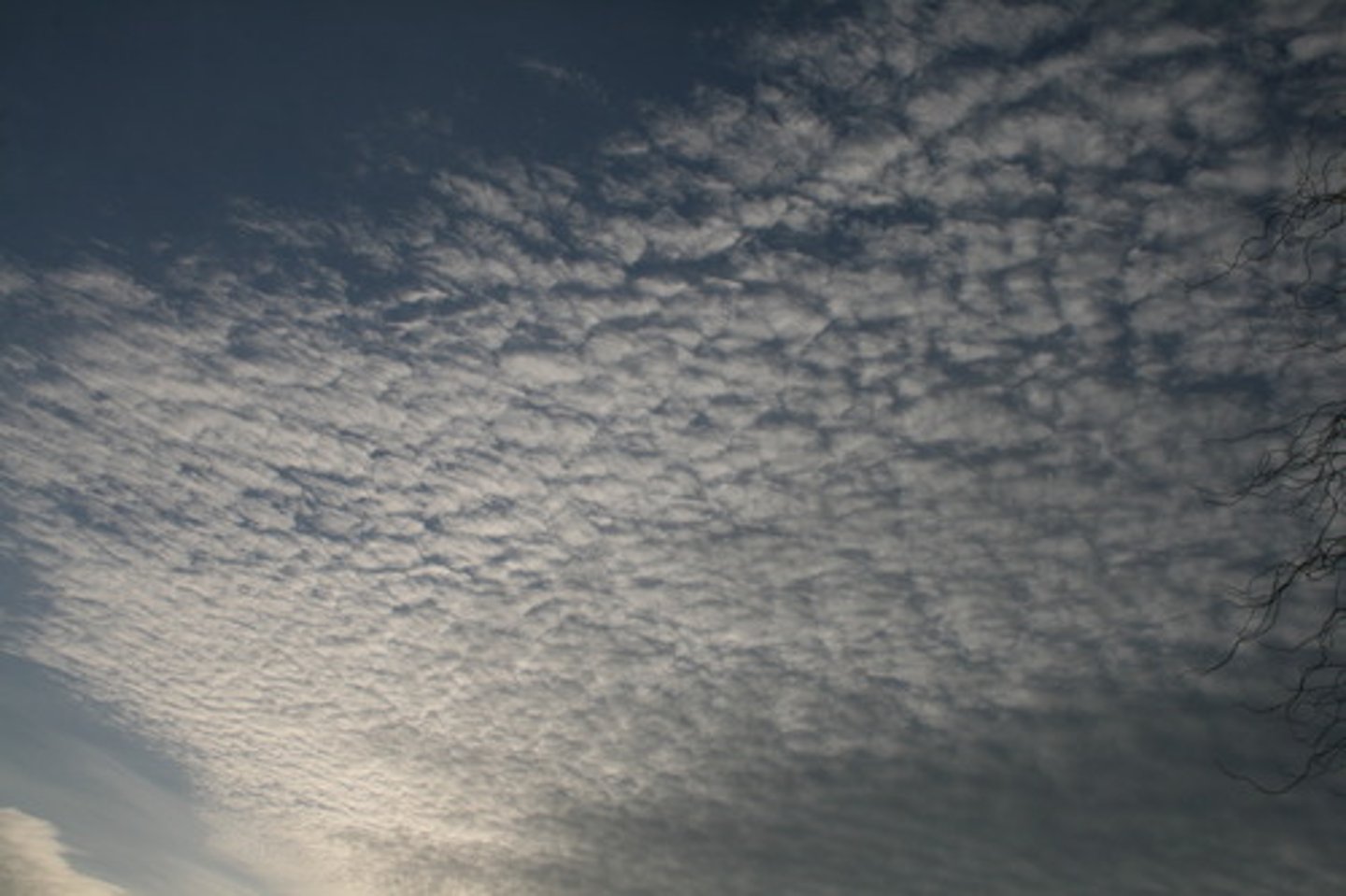<p>mid level clouds that are made of water droplets and appear as gray puffy masses. They usually form in groups. If you see altocumulus clouds on a warm, sticky morning, be prepared to see thunderstorms late in the afternoon.</p>