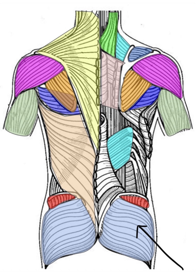 term image