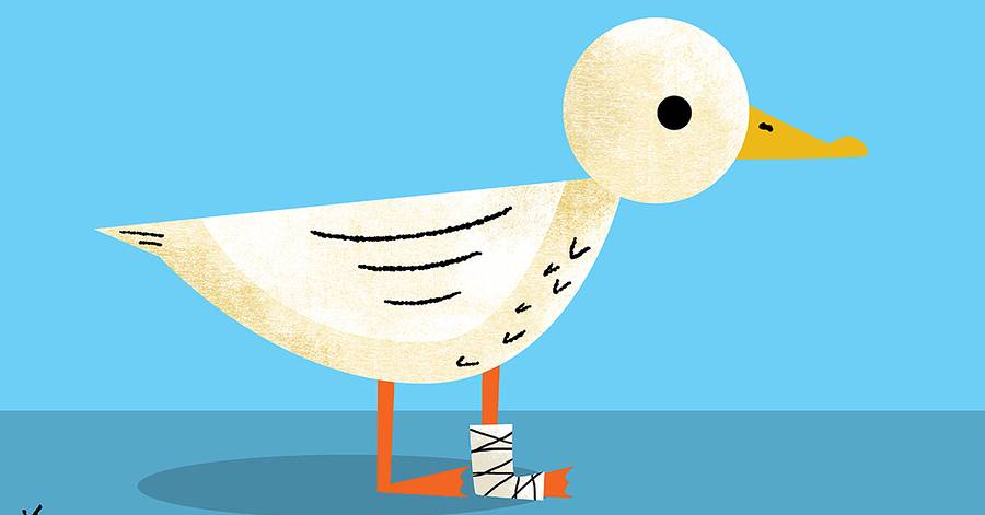 <p><span style="background-color: transparent;"><strong><span>mandatario saliente debilitado</span></strong></span></p>