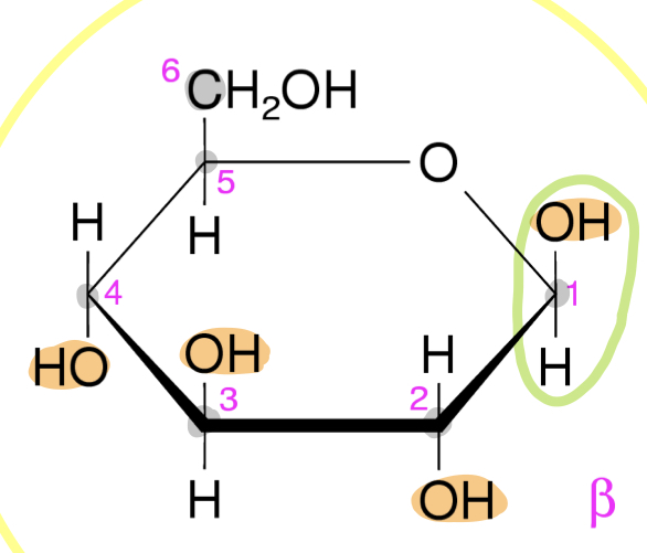 C6H12O6