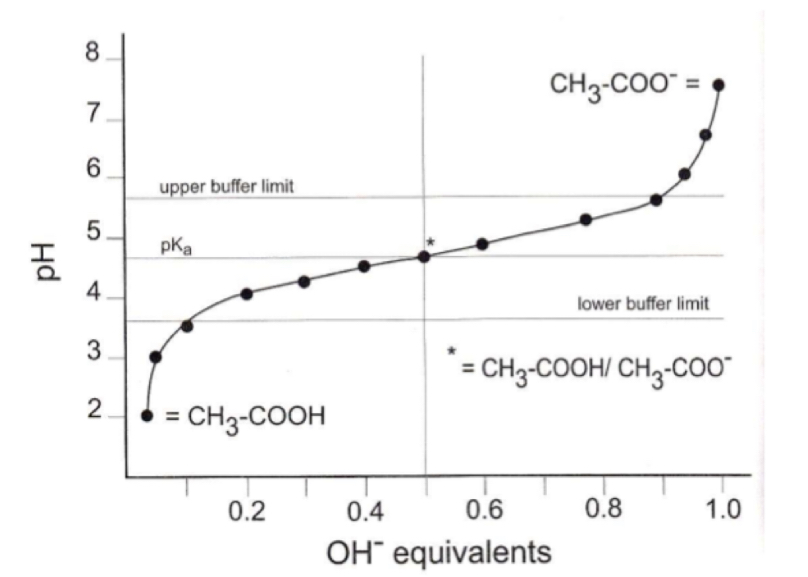 <p>the range of which the buffer can neutralize an added acid or base</p>