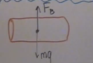 <p>the P at top is diff than the bottom (bottom is lower) so F<sub>net</sub> = P<sub>b</sub>x<sup>2</sup> - P<sub>t</sub>x<sup>2</sup></p><p>F<sub>net</sub> = (pg(h+x) - pgh)x<sup>2</sup></p><p>F<sub>net</sub> = (pgh + pgx - pgh)x<sup>2</sup></p><p>F<sub>net</sub> = pgx<sup>3</sup> = pgV = m<sub>fluid</sub>g; the weight of the fluid displaced (same as block) is keeping it floating there; F<sub>buoyancy</sub> &gt; F<sub>gravity</sub></p>