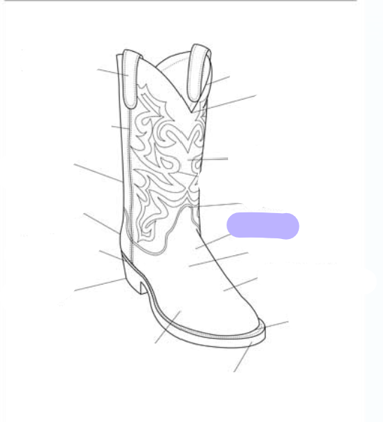 <p>What part of the boot is this? (labeled in purple)</p>