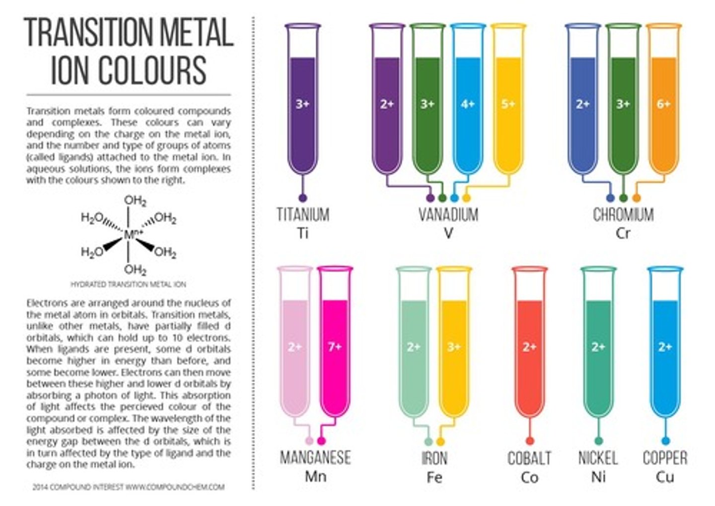 <p>The block of elements in the middle of the Periodic Table, including Lanthanoids and Actinoids.</p>