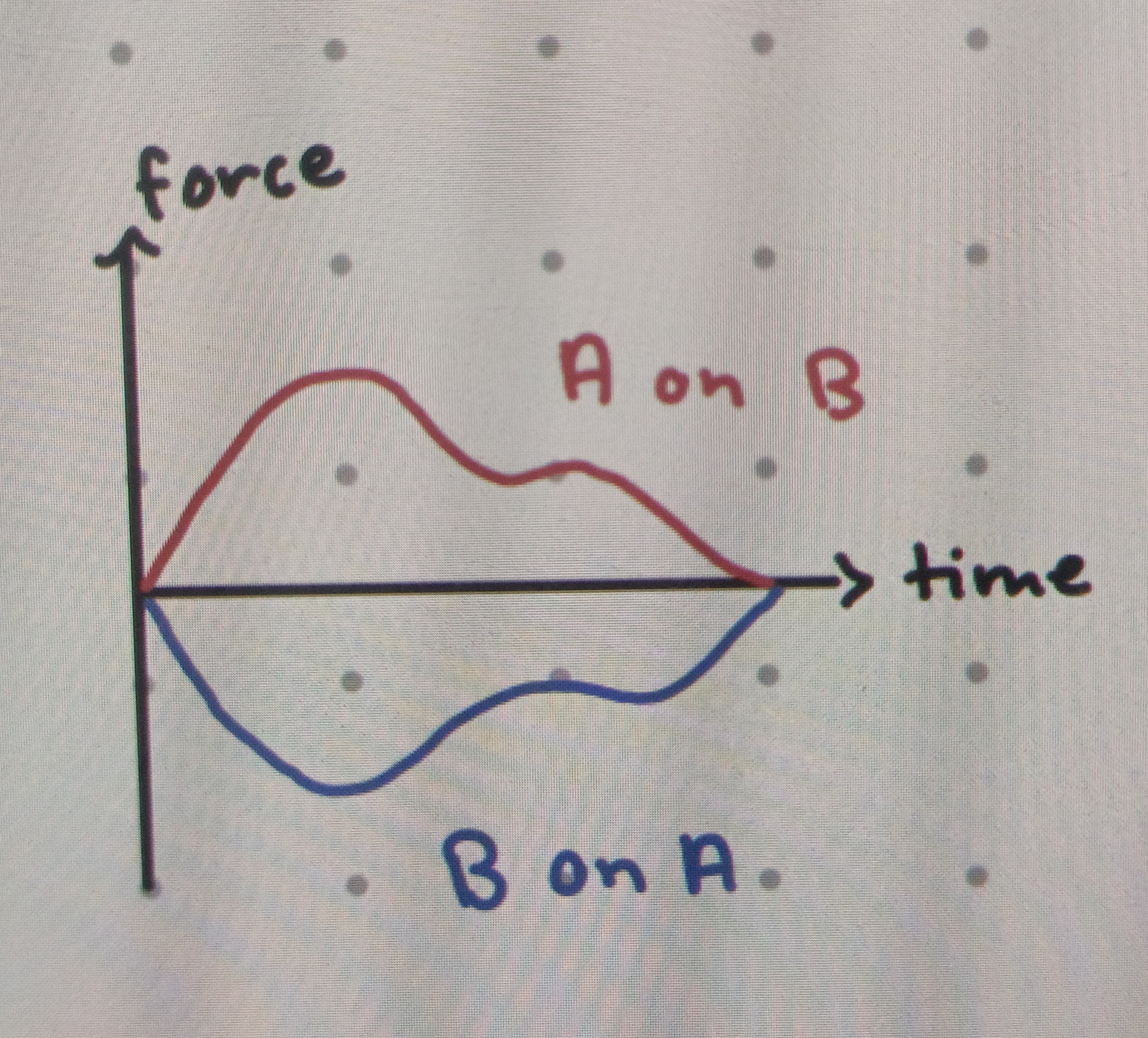 <p>Which direction and magnitude do forces occur in?</p>