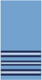 <p>What rank is this?</p>