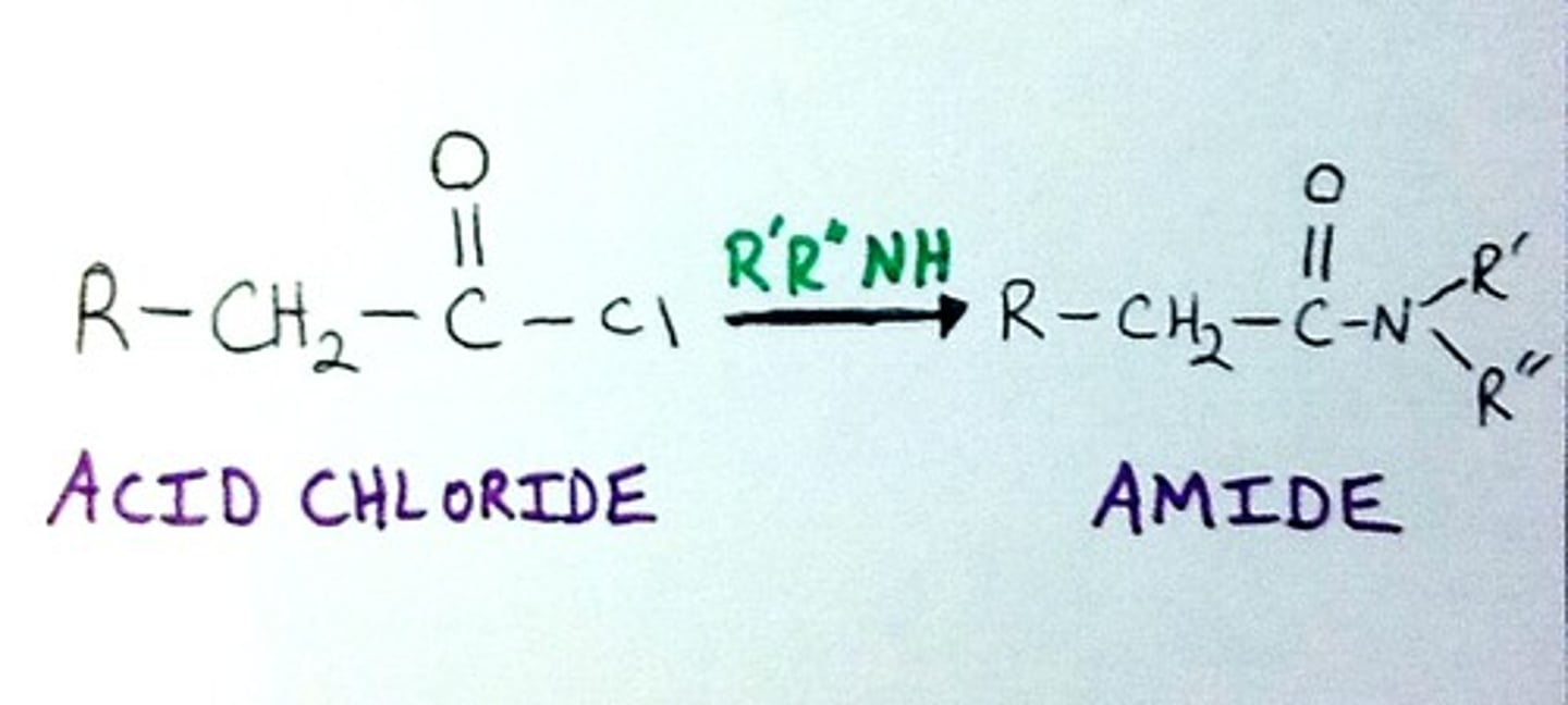 <p>Amide</p>
