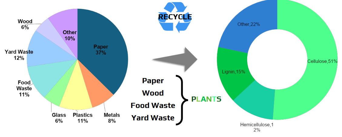 <ul><li><p><span style="background-color: transparent;">refuse: solid waste (typically nonhazardous) that is collected and transported to a disposal site</span></p></li><li><p><span style="background-color: transparent;">cellulose: a long chain of repeating glucose (sugar) molecules</span></p></li><li><p><span style="background-color: transparent;">hemicellulose: made up of a variety of repeating sugars</span></p></li><li><p><span style="background-color: transparent;">lignin: carbon-rich polymer that resists decay; main component of humus which is the final product of organic matter decomposition</span></p></li><li><p><span style="background-color: transparent;">methane (CH<sub>4</sub>) and carbon dioxide (CO<sub>2</sub>) are primary gases produced from the decomposition of organic matter</span></p></li></ul><p></p>