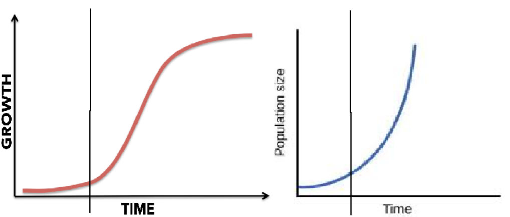 <p>initial phase</p>