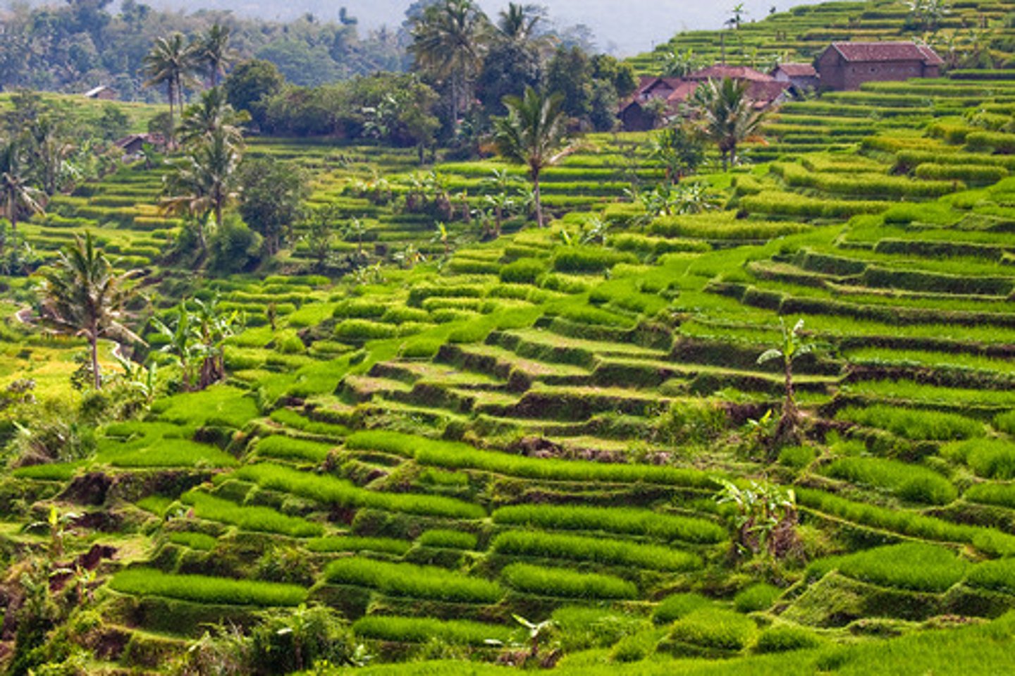 <p>belief that the physical environment may limit some human actions, but people have the ability to adjust their environment</p>