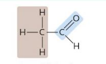 <p>A type of aldehyde</p>