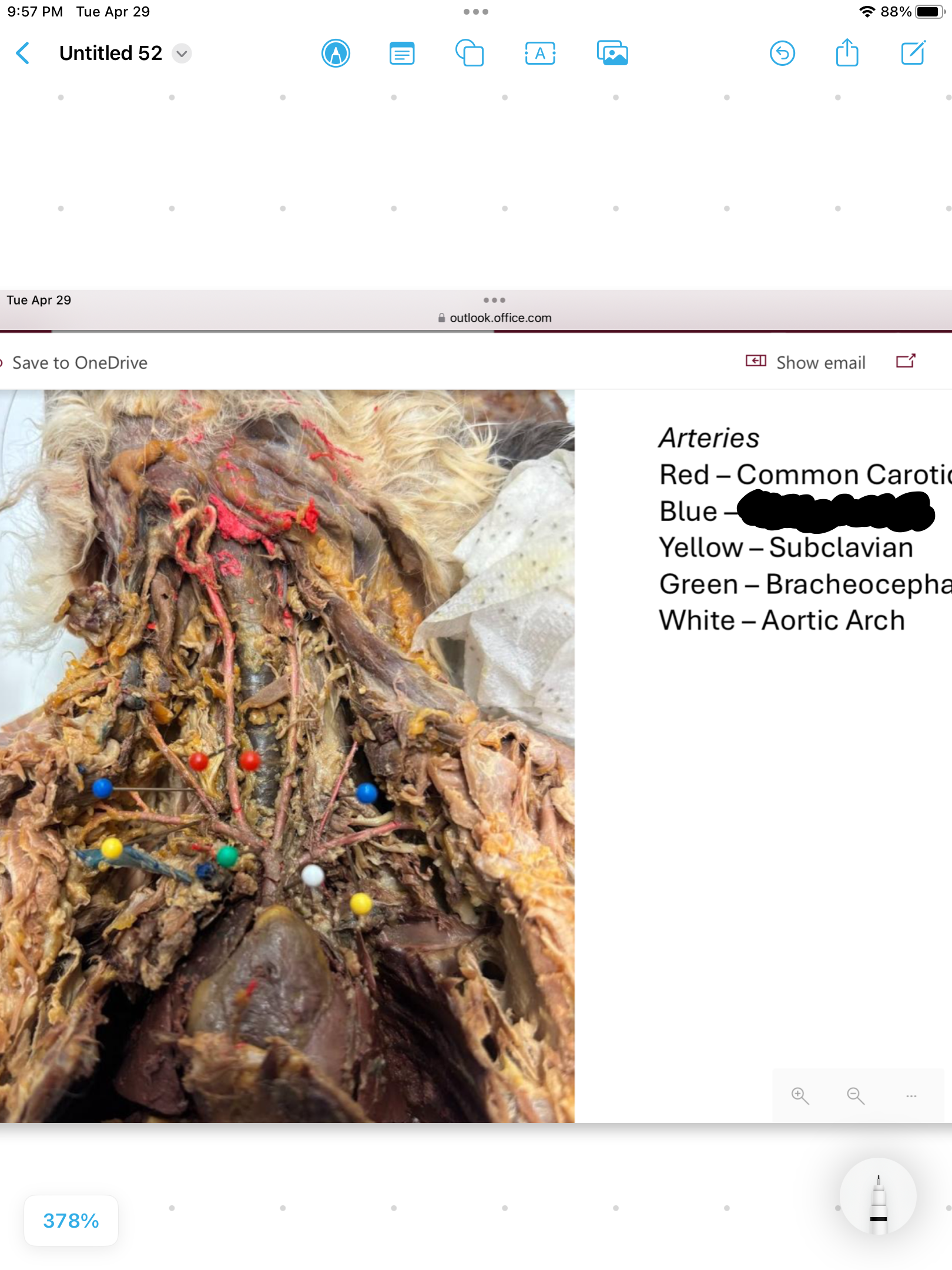 <p>label the area</p>