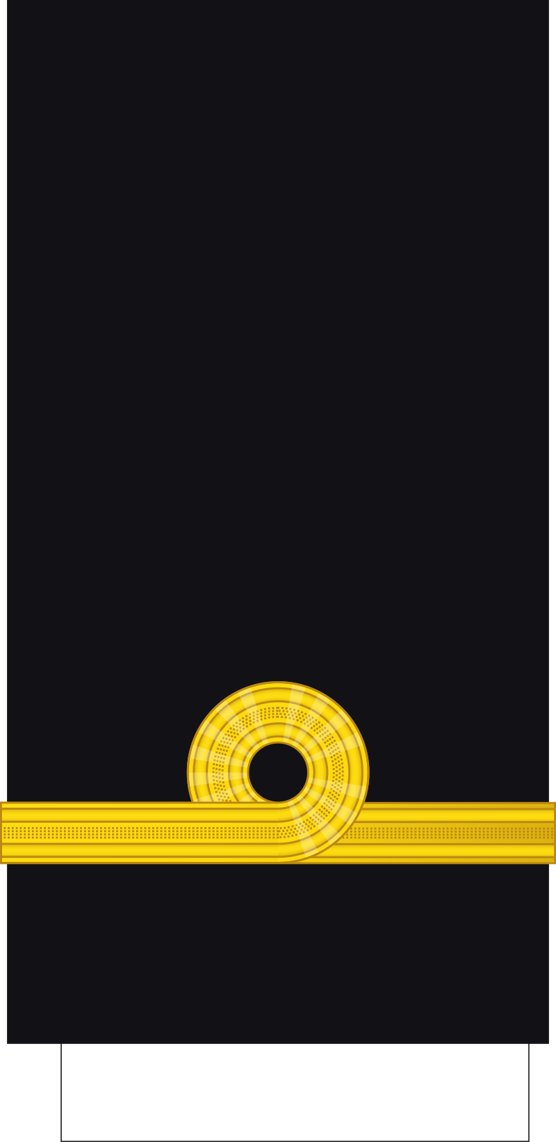 <p>What rank is this?</p>