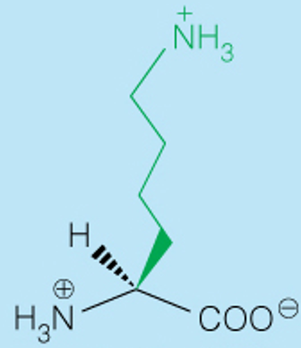 <p>3 Letter</p>