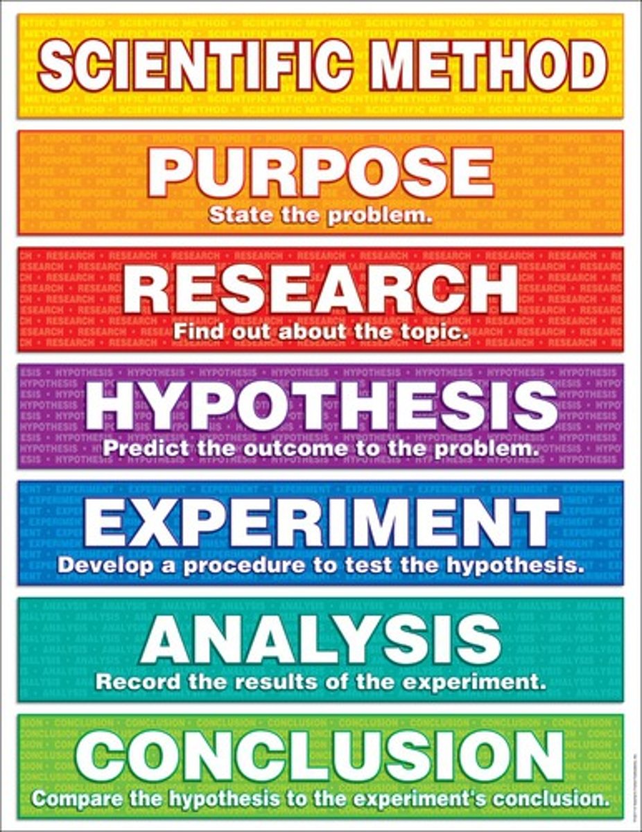 <p>Principles -&gt; theories -&gt; hypothesis -&gt; study (descriptive, correlational, experimental)</p>