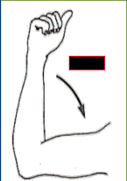 <p>What Movement is occurring?</p>