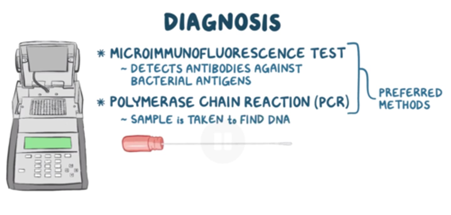 <p>- -ve coccoid</p><p>- obligate intracellular pathogen</p><p>- causes atypical pneumonia, pharyngitis, &amp; bronchitis</p><p>- associated w/ gradual onset and&amp;prolonged cough.</p><p>- req cell culture for growth (unable to grow on standard media)</p><p>- detected using PCR or serology</p>