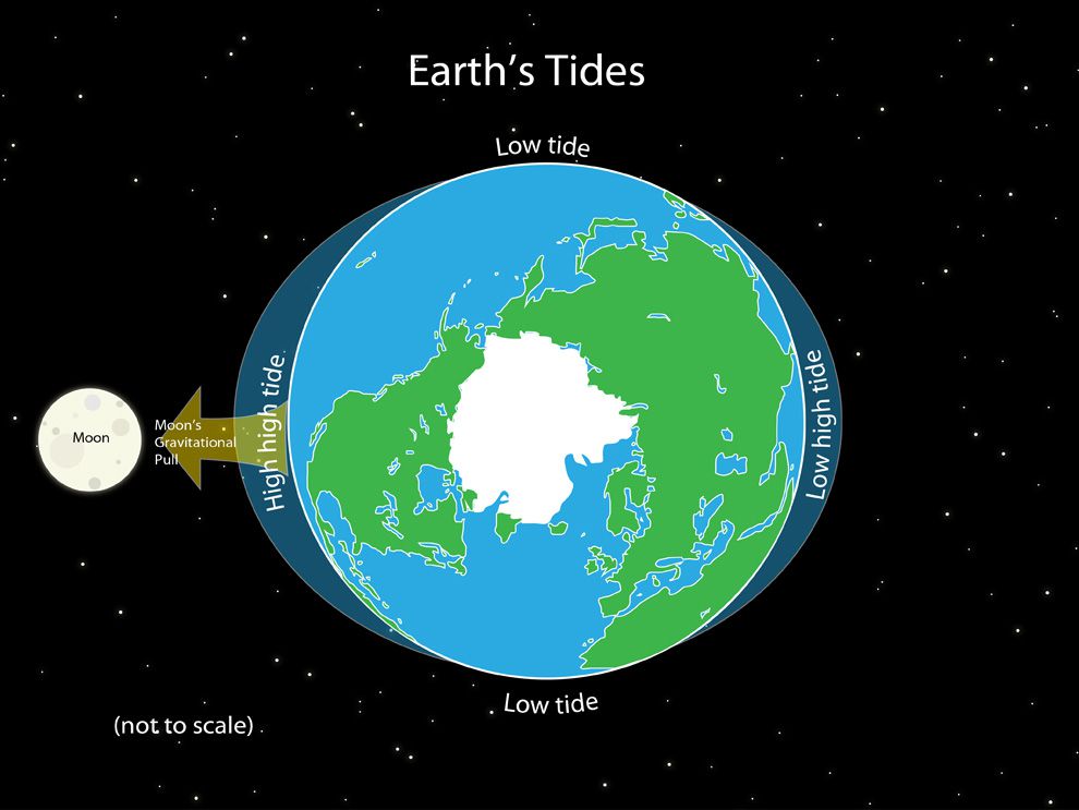Tides result from the gravitational attraction of the sun and moon on the ocean