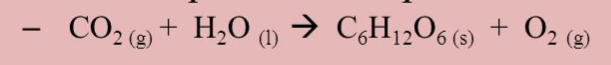 <p>What type of equation is this?</p>