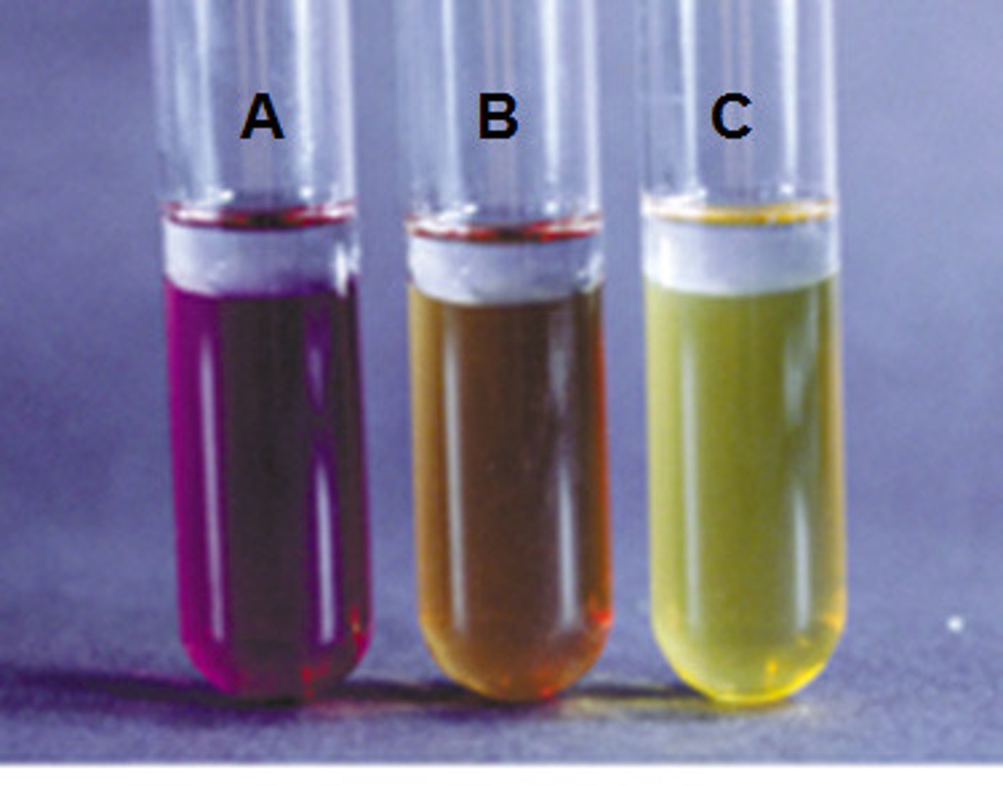<p>Decarboxylase enzyme present if:</p><p>+ Purple</p><p>MINERAL OIL (anaerobic)</p><p>- yellow = fermentation but no decarboxylation</p>