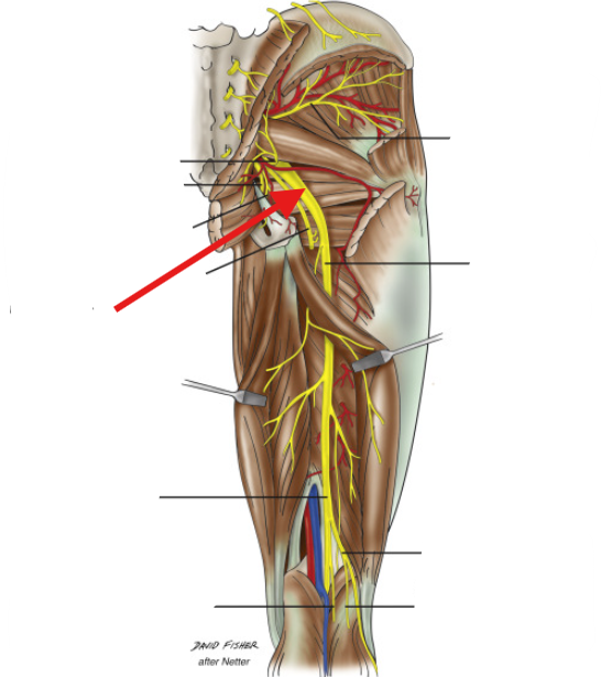 <p>What is this structure?</p>