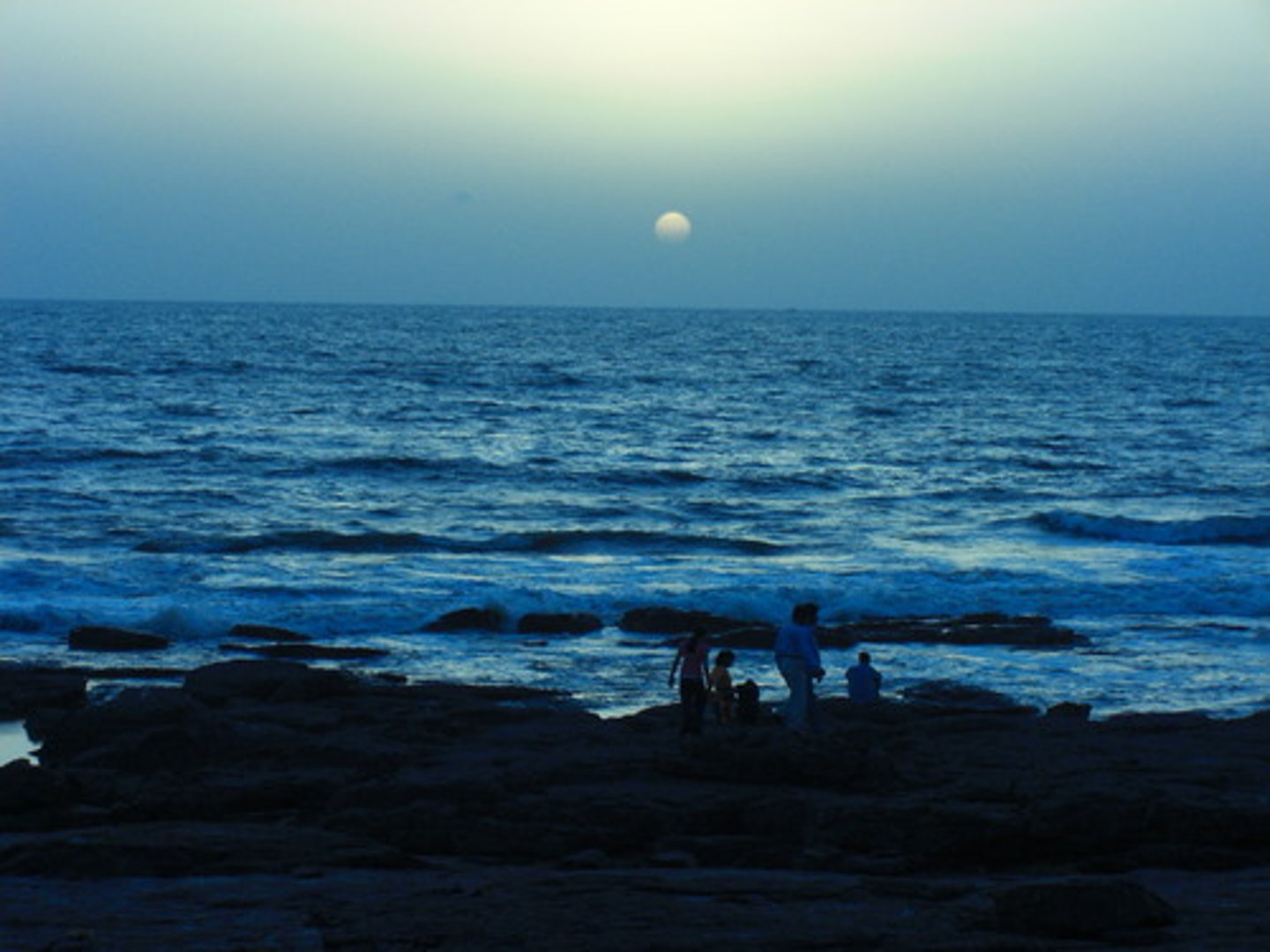 <p>marine</p>