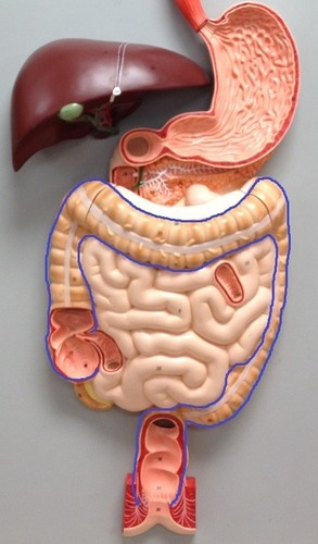 knowt flashcard image