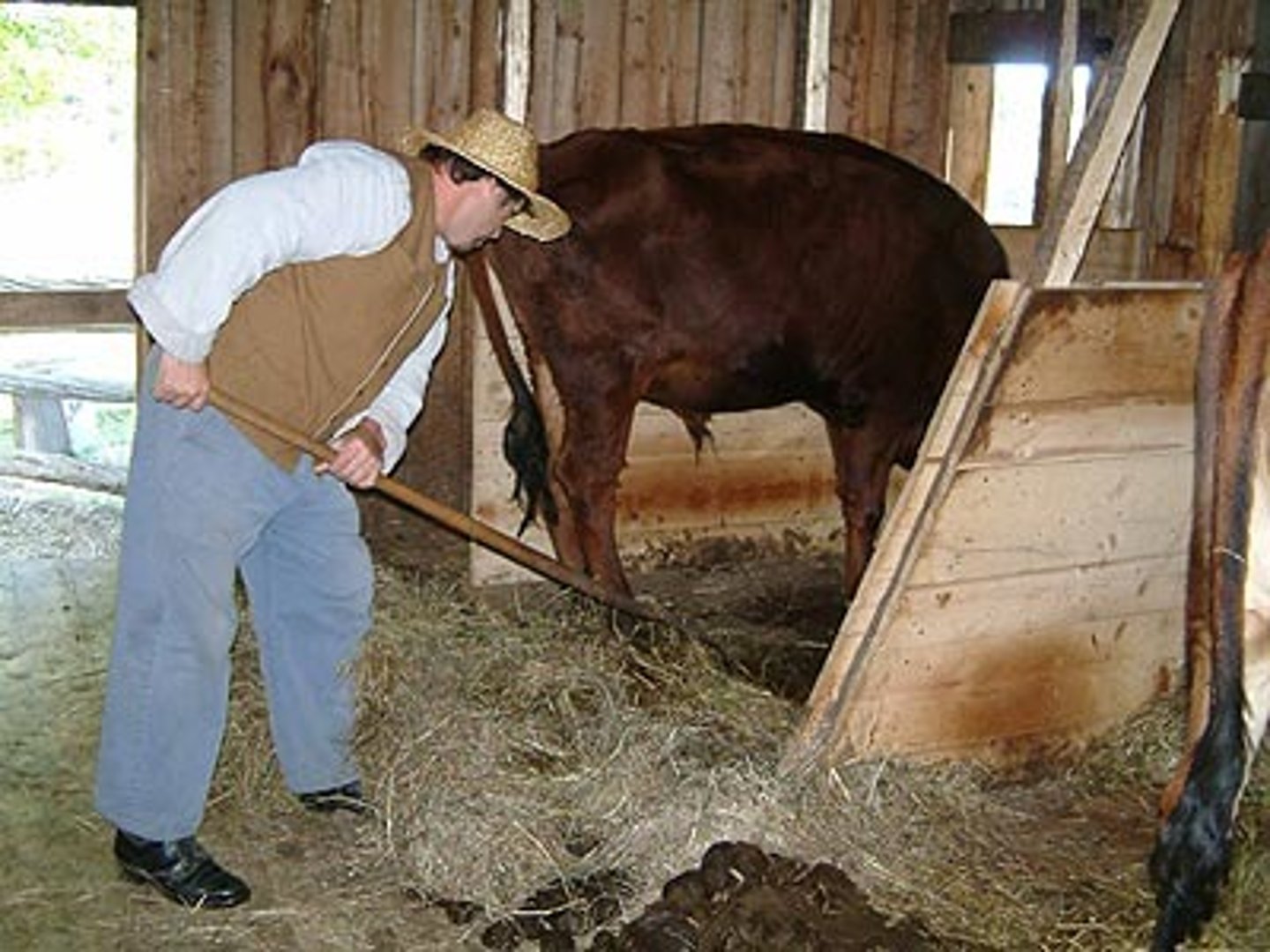 <p>clean the barn</p>