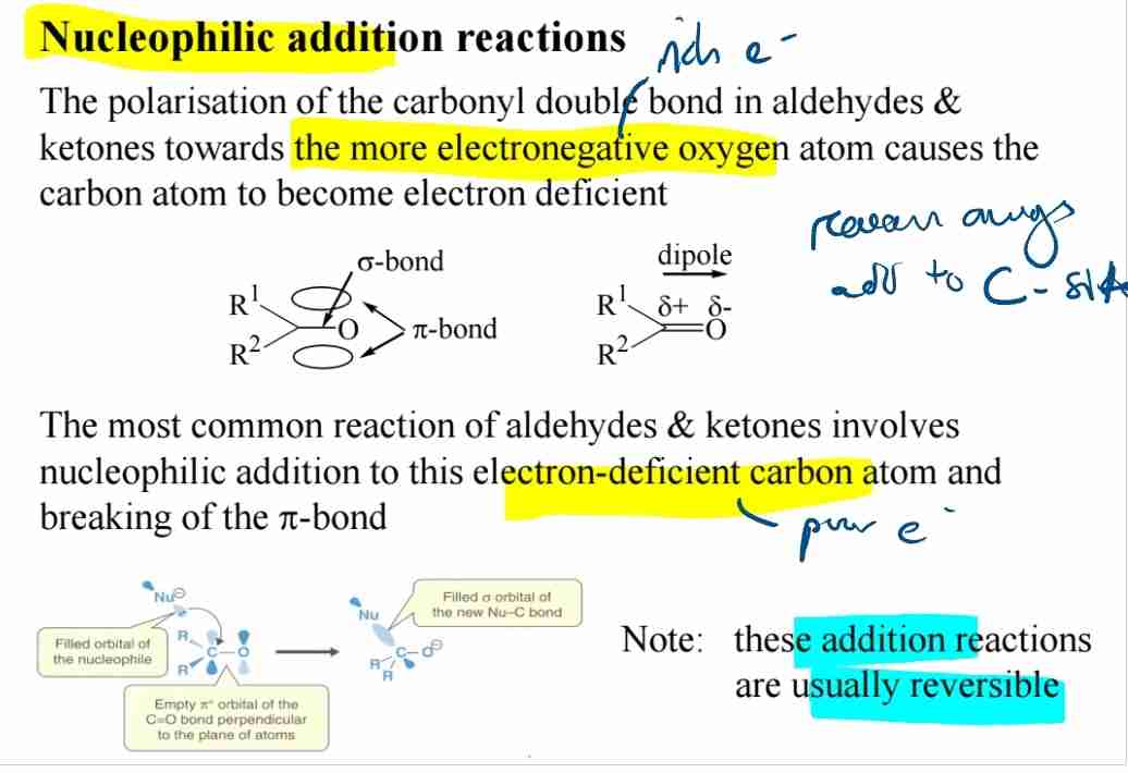 <p><span>Carbonyl carbon (δ+) attracts nucleophiles, breaking the π bond.</span></p>