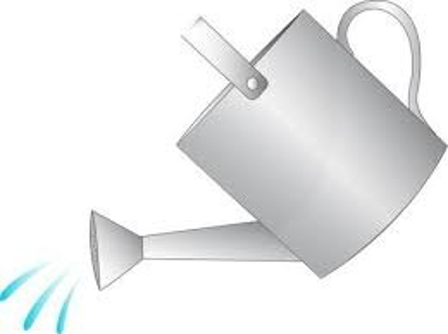<p>Watering Can</p>