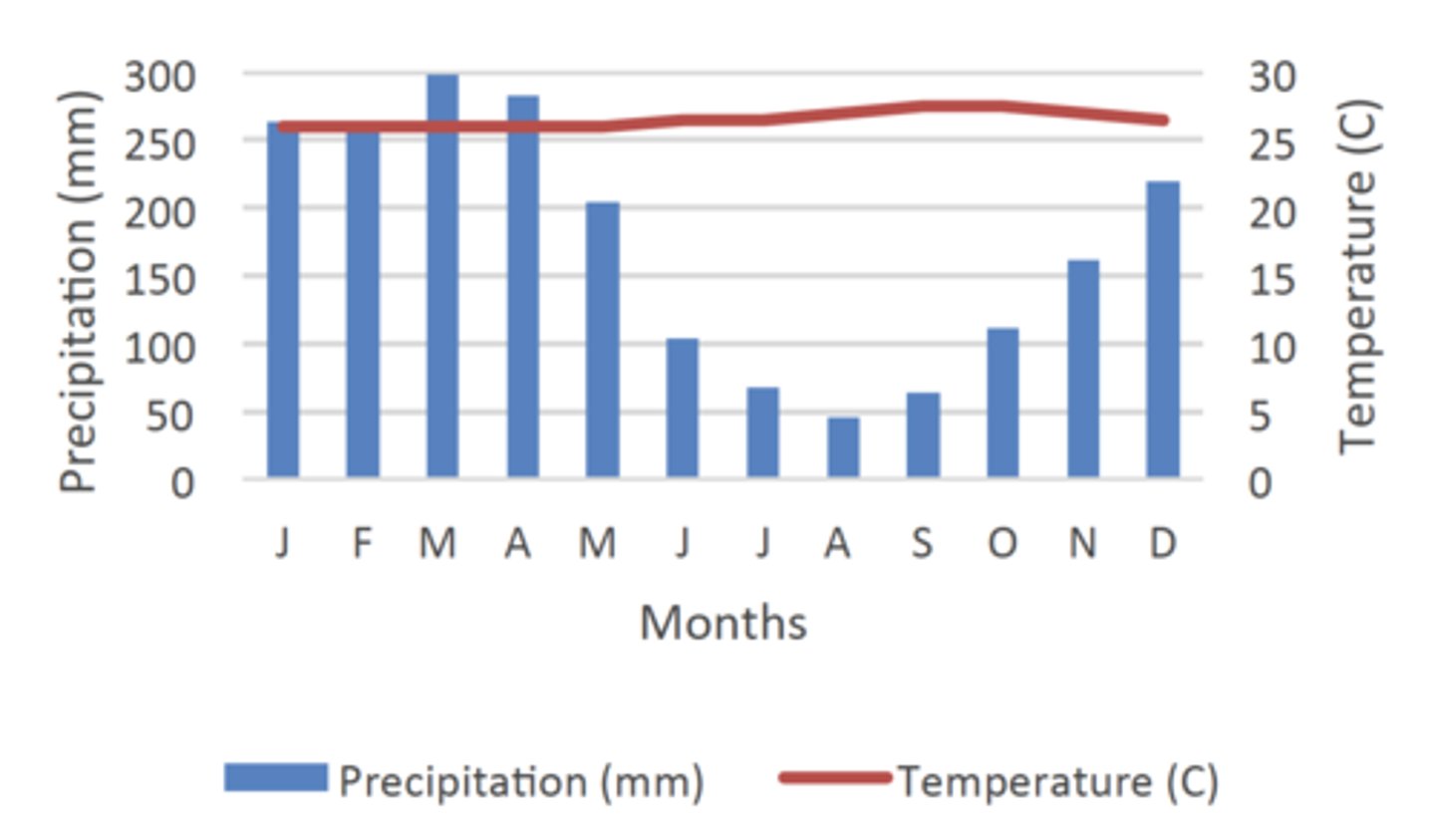 <p>- Hot</p><p>- Wet</p>