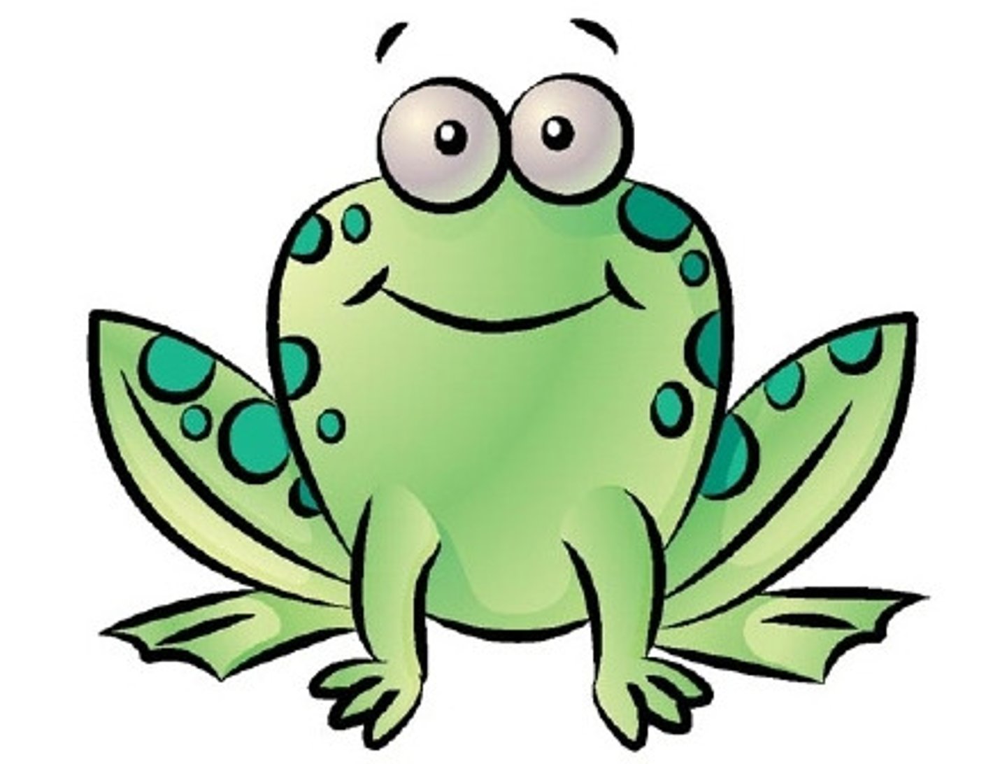 <p>frog</p>