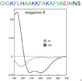 <ul><li><p>CD spectra was determined in presence of water (aq) or sds, which mimics the hydrophobic environment of membrane</p></li><li><p>transition from random coil to alpha helix can be seen</p></li><li><p>what interactions are mediating this change?</p></li></ul>