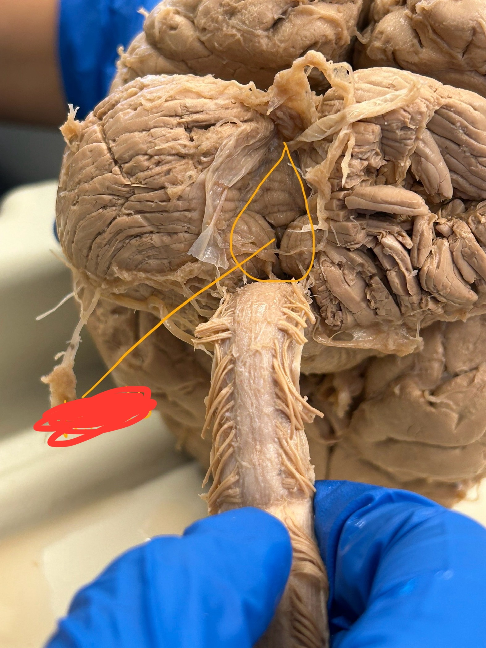 <p>What is this?</p>