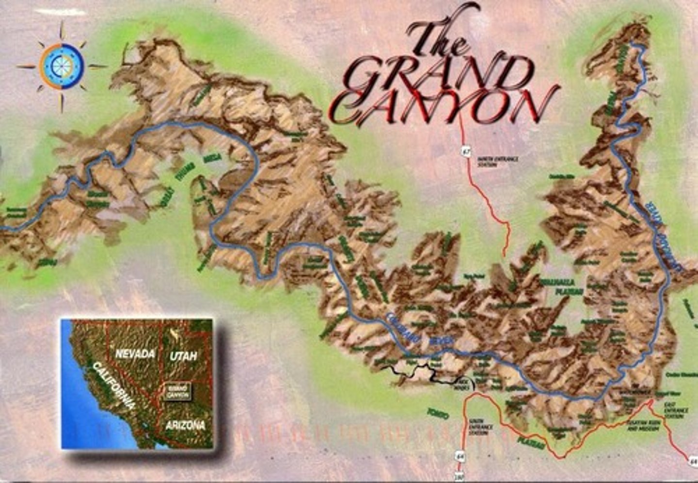 <p>The formation of the Grand Canyon, which separated populations.</p>