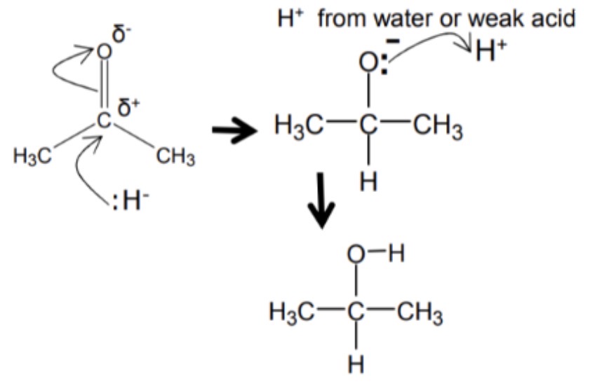 <p>1 hydride forms a bond with carbon</p>