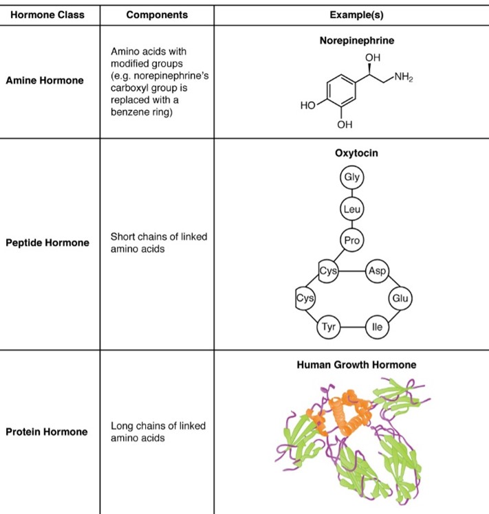 What is this and can you label it?