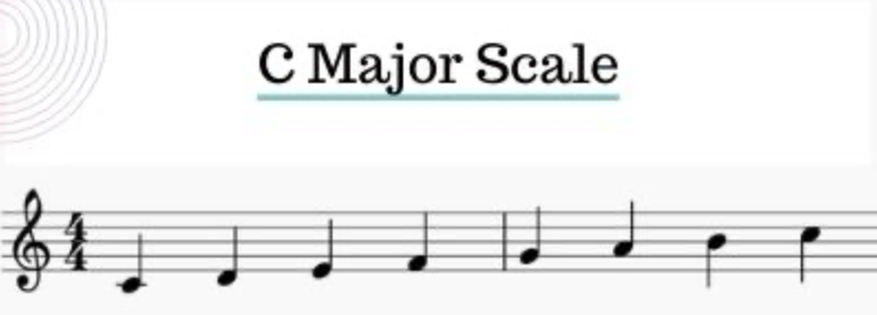 <p>What notes are in the C major scale?</p>
