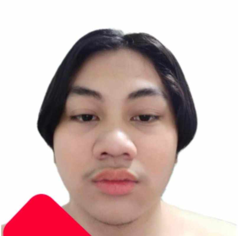 <p>Name the three basic programming structures.</p>