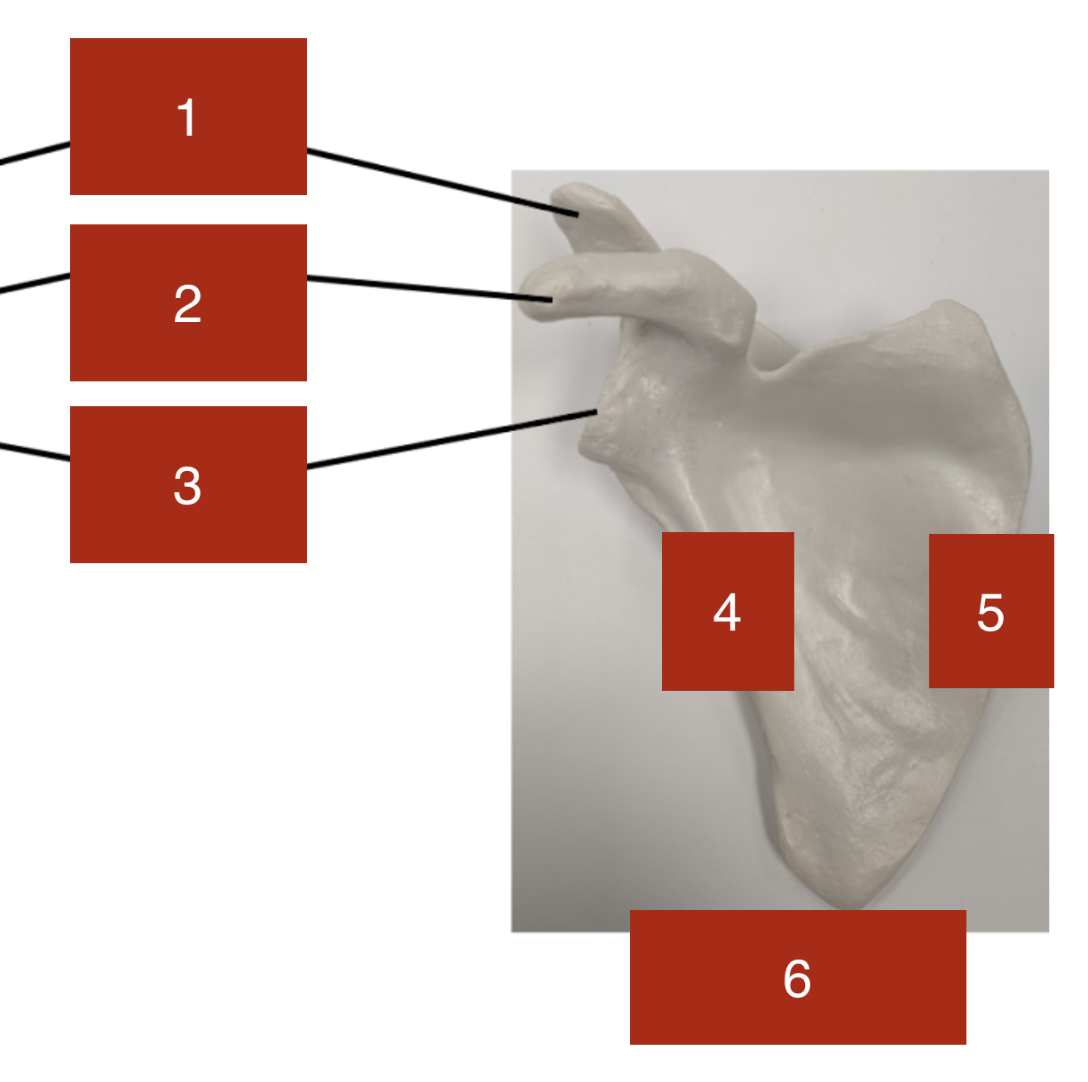 <p>2</p>