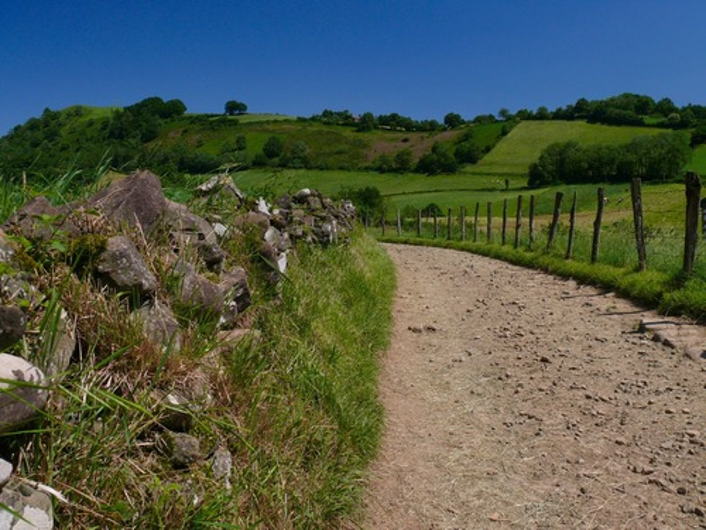 <p>de weg</p>