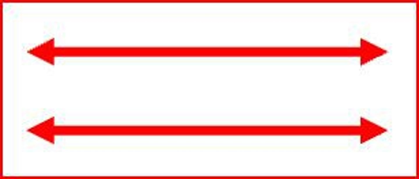 <p>Lines or planes that are always the same distance apart. They do not intersect.</p>